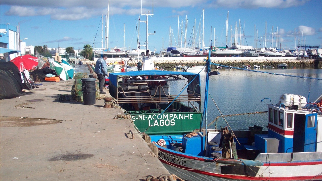 Photo of Others in Albardeira