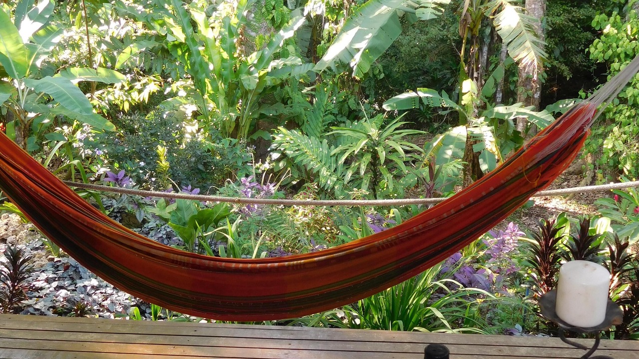 Photo of Outdoor in Cocles