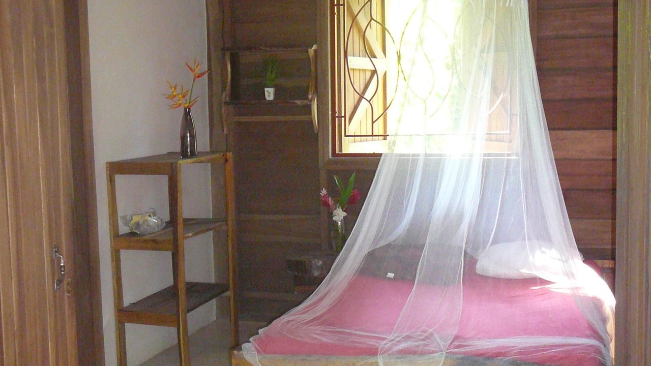 Photo of Others in Cocles