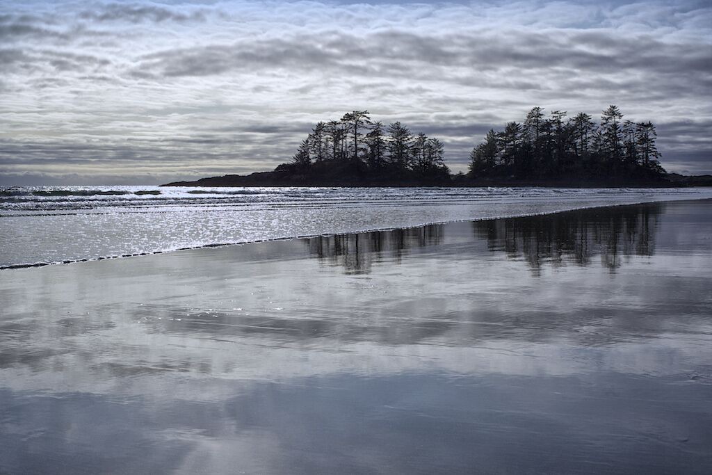 Photo of Others in Tofino