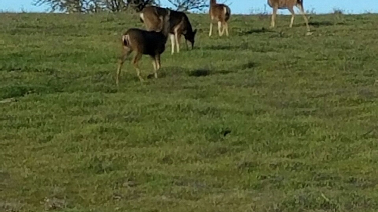 Photo of Others in Templeton
