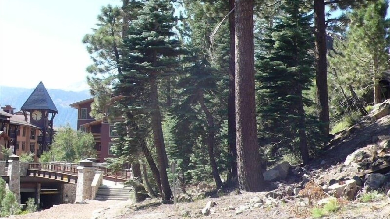 Photo of Others in Mammoth Lakes
