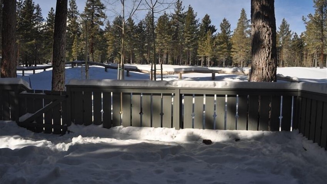 Photo of Others in Mammoth Lakes