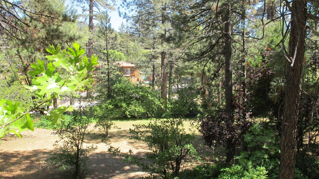 Photo of Outdoor in Idyllwild