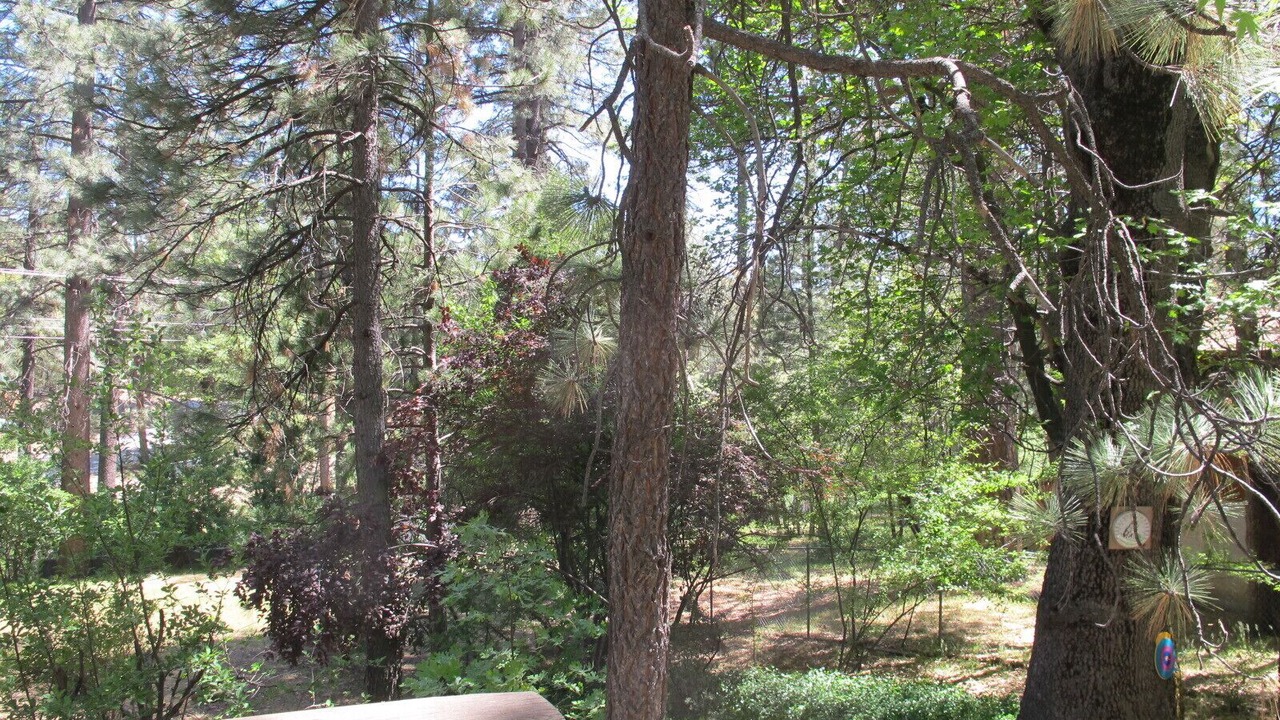 Photo of Outdoor in Idyllwild