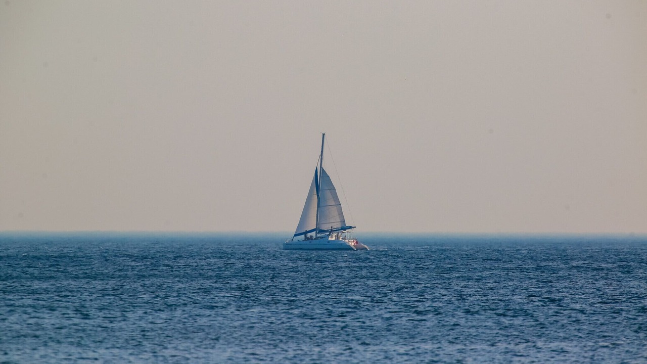 Photo of Others in Pacific Marlin