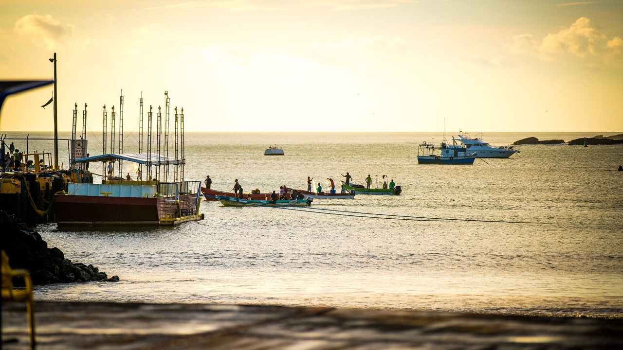 Photo of Others in Pacific Marlin