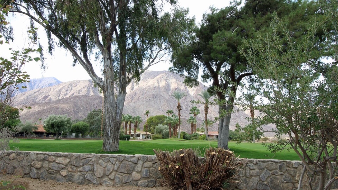 Photo of Outdoor in Borrego Springs