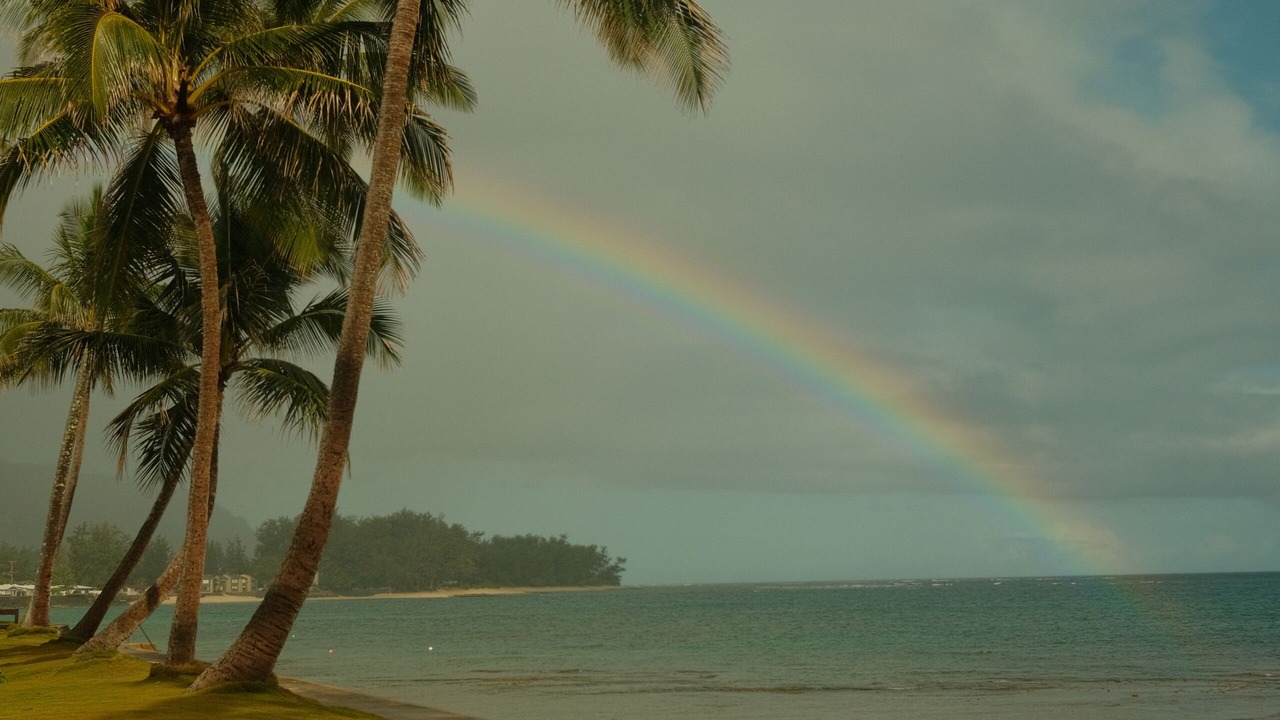 Photo of Others in Waialua