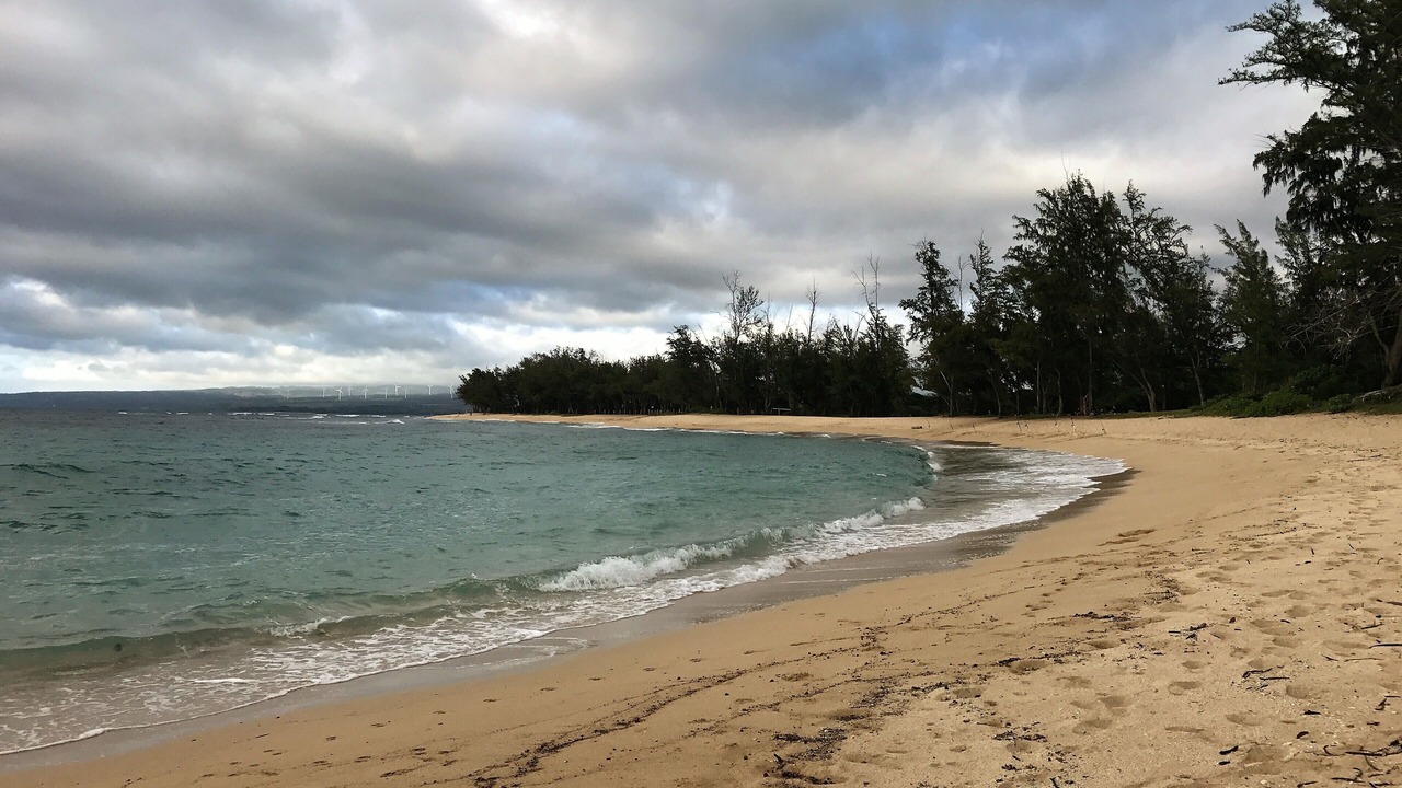 Photo of Others in Waialua
