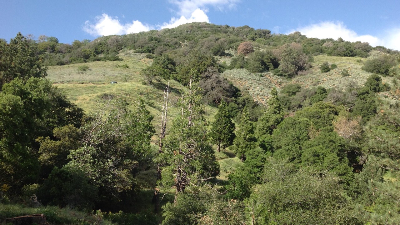 Photo of Others in Julian