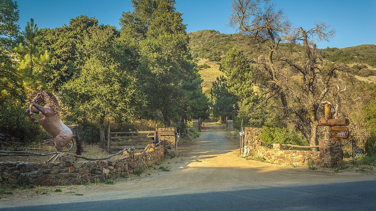 Photo of Others in Julian