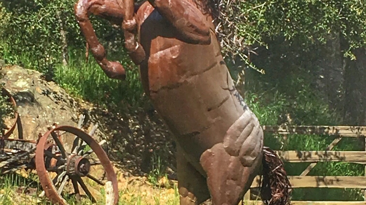 Photo of Others in Julian