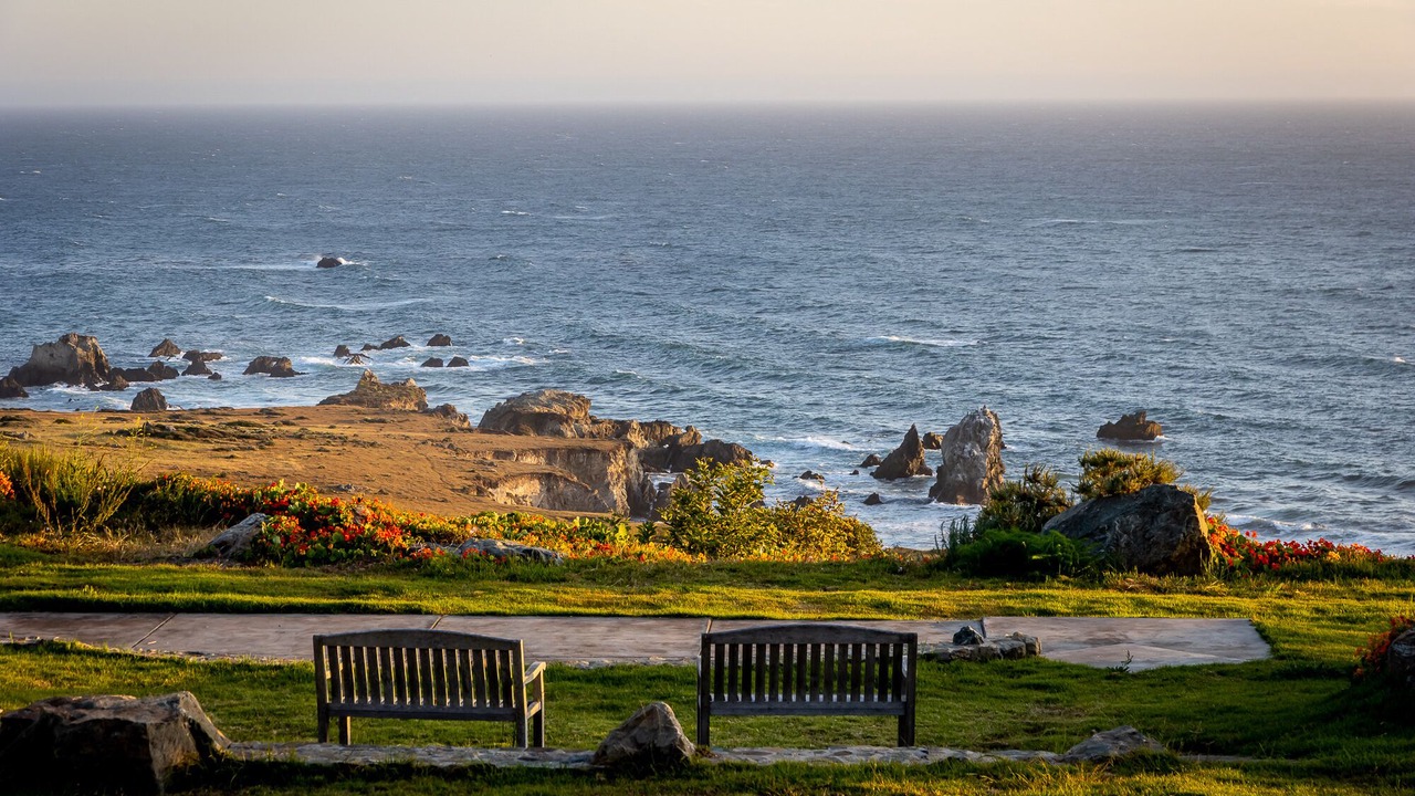 Photo of Others in Big Sur