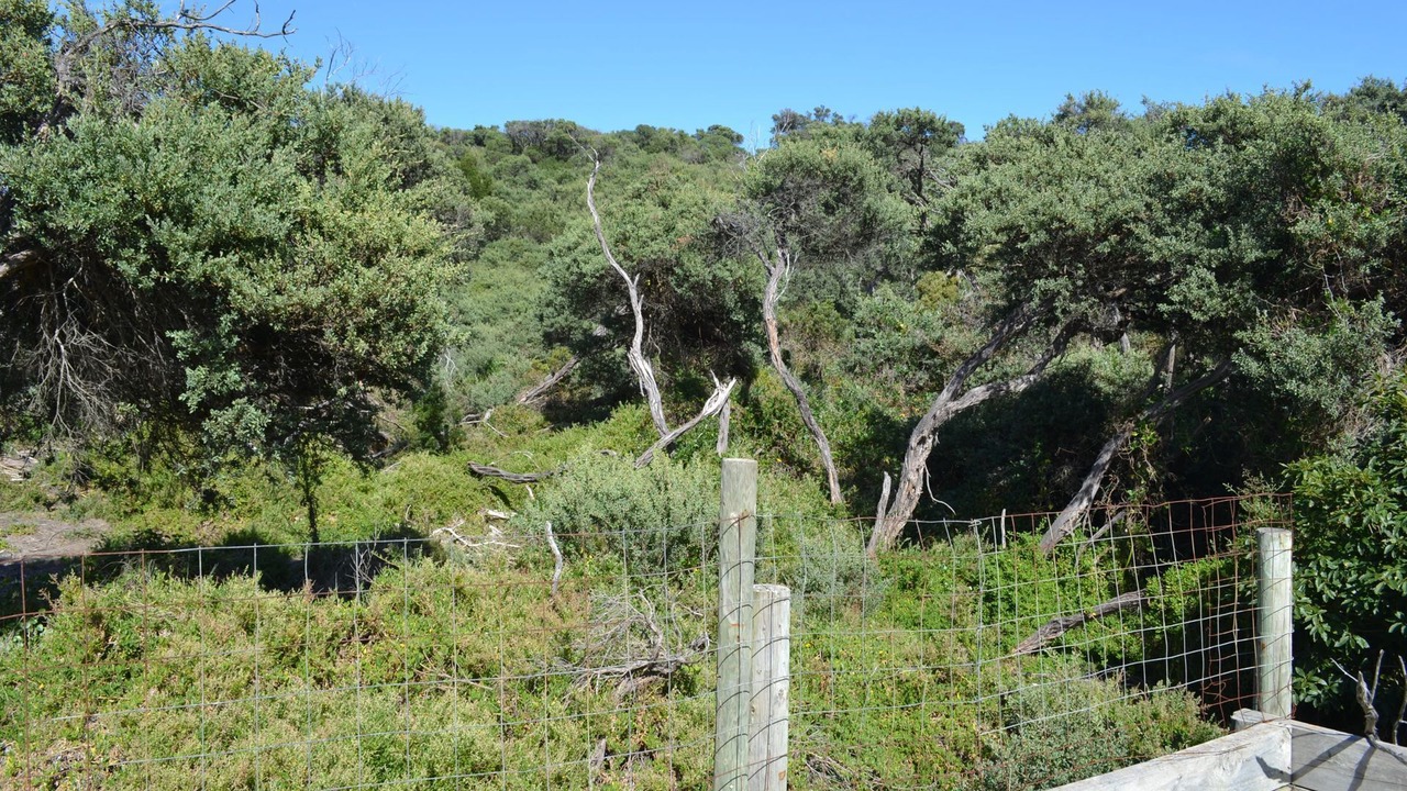 Photo of Outdoor in Venus Bay