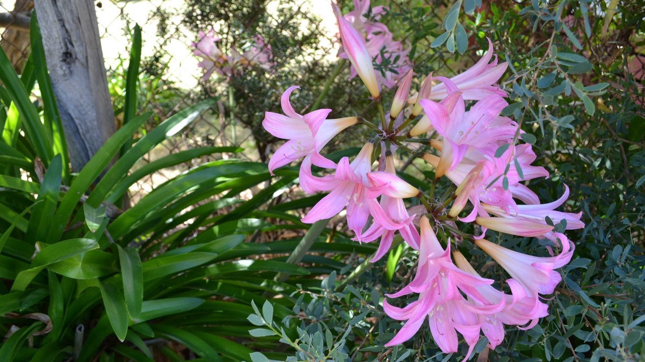 Photo of Outdoor in Venus Bay