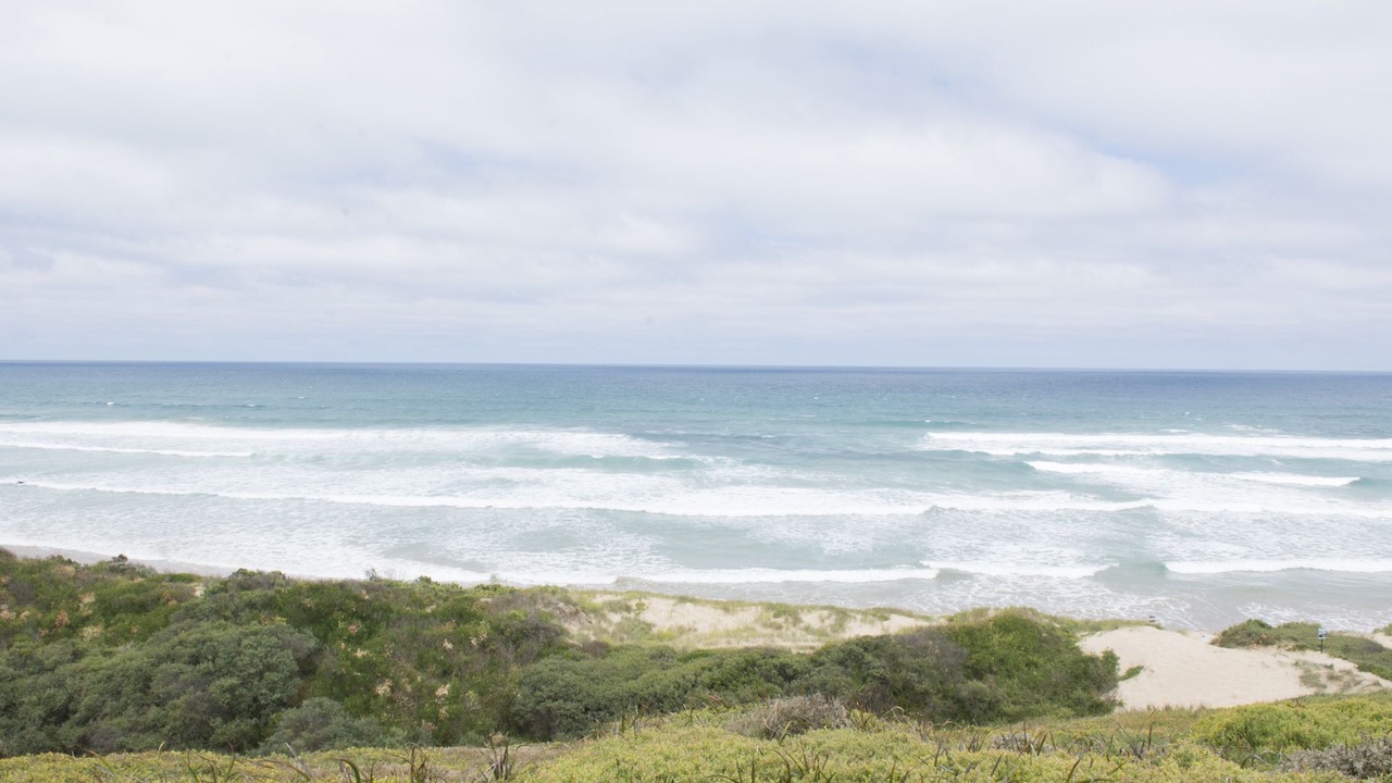 Photo of Others in Venus Bay