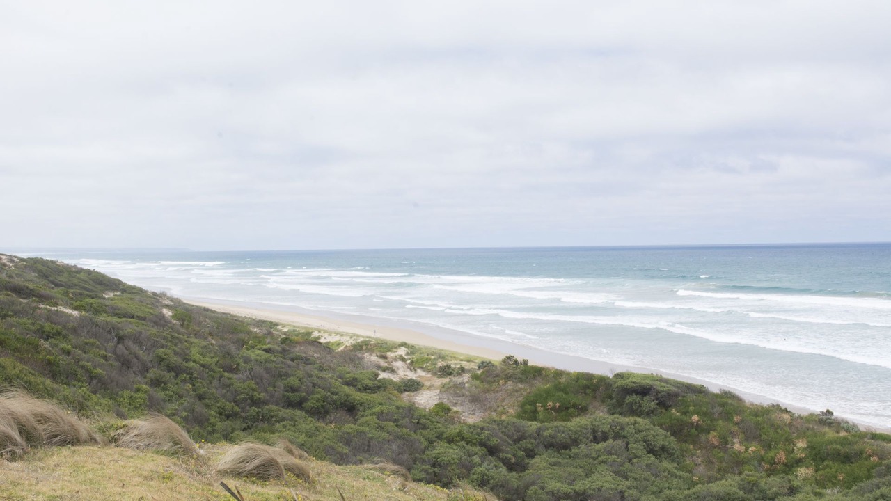 Photo of Others in Venus Bay