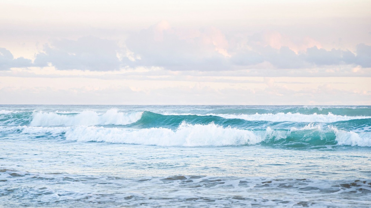 Photo of Others in Venus Bay