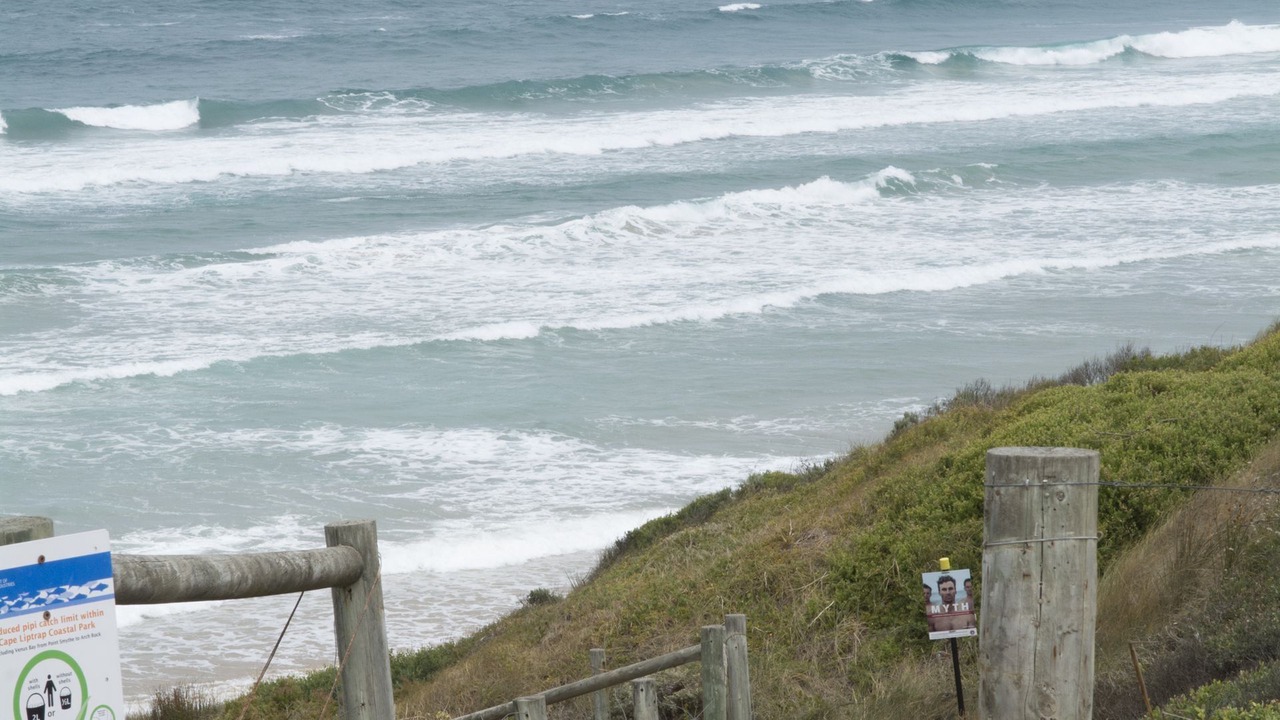 Photo of Others in Venus Bay