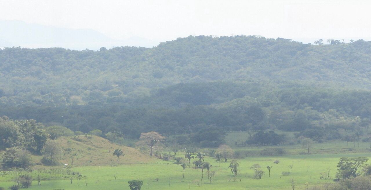 Photo of Others in Bejuco