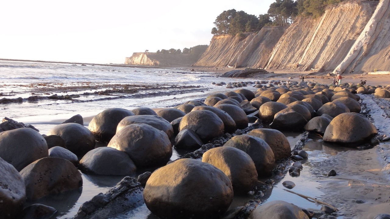 Photo of Others in Mendocino