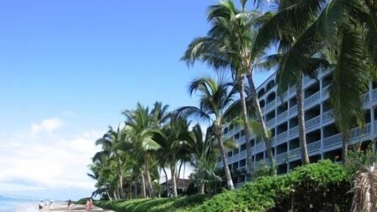 Photo of Others in Historic Lahaina Front Street