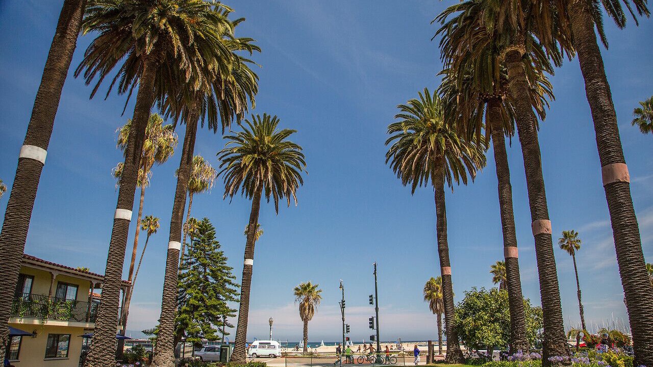 Photo of Others in West Beach
