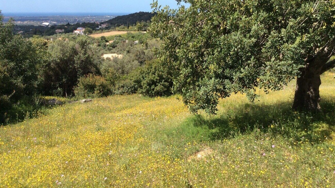 Photo of Outdoor in Benatrite