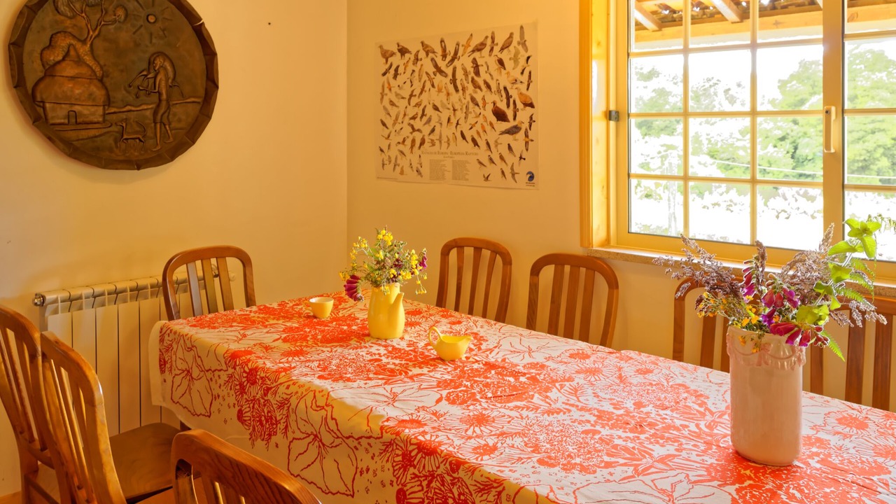 Photo of Others in Oliveira de Frades