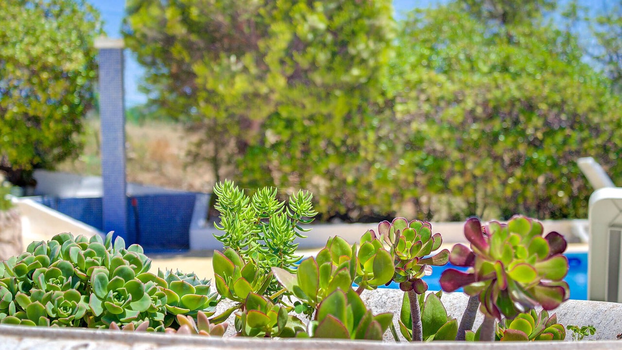 Photo of Outdoor in Vale de Parra