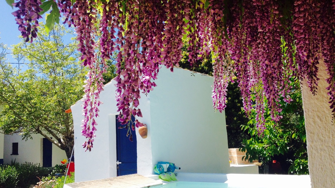 Photo of Outdoor in Alvito