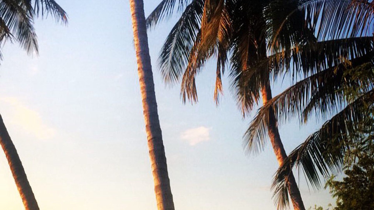 Photo of Others in Tamarindo