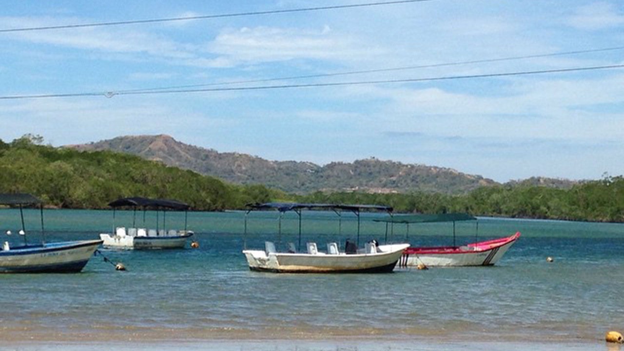 Photo of Others in Tamarindo