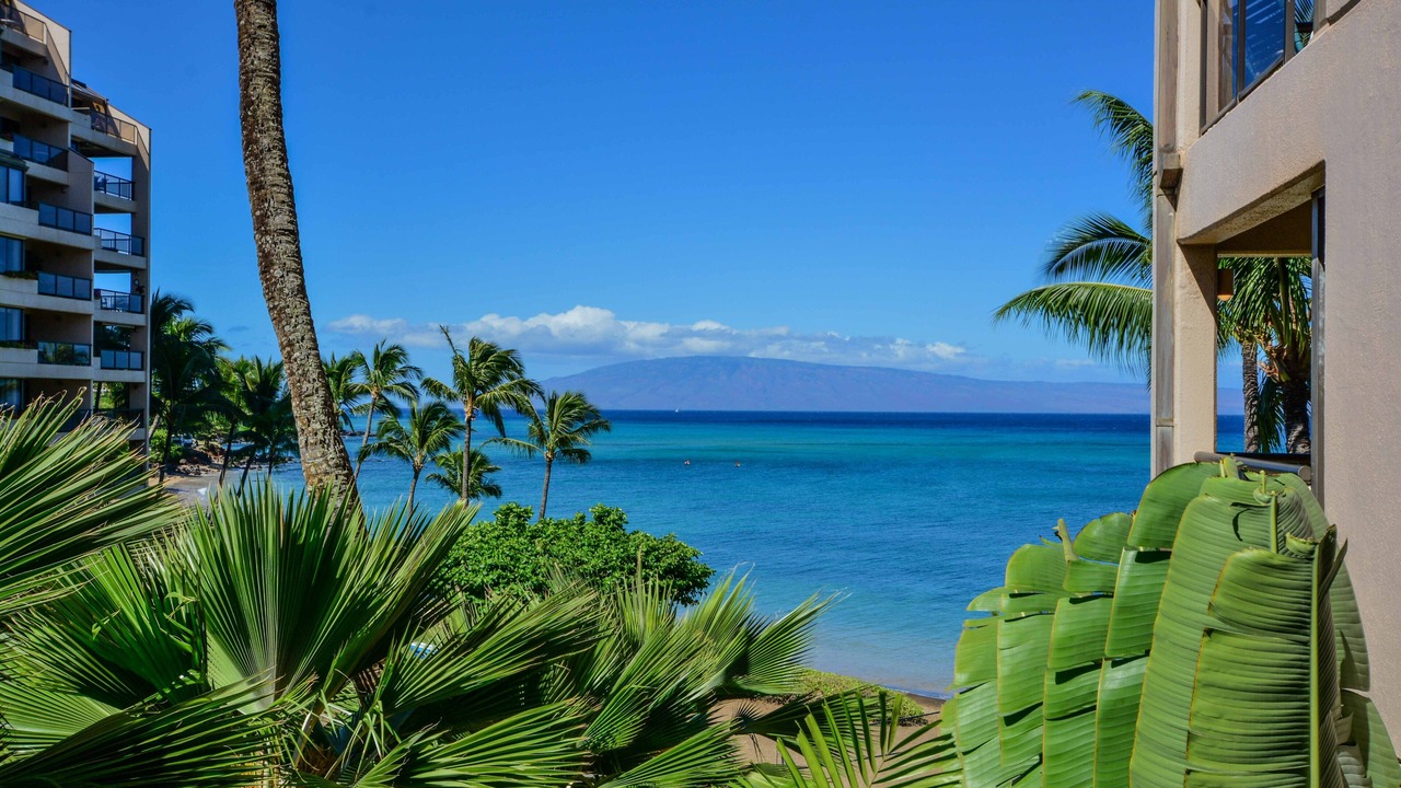 Photo of Outdoor in Kahana