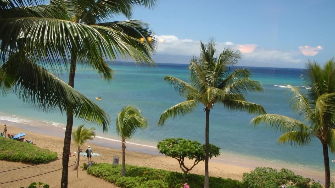 Photo of Others in Kahana