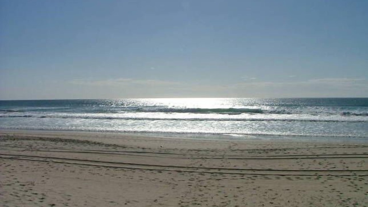 Photo of Others in Mermaid Waters