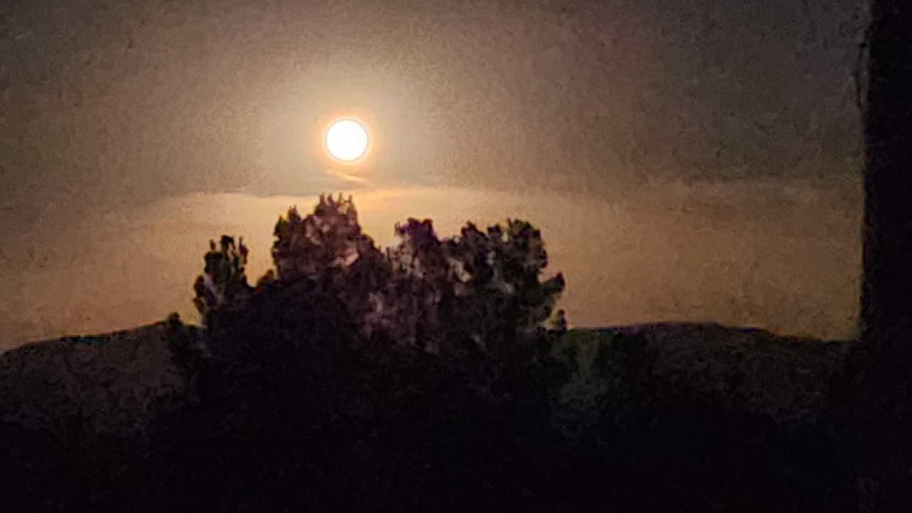 Photo of Outdoor in Julian