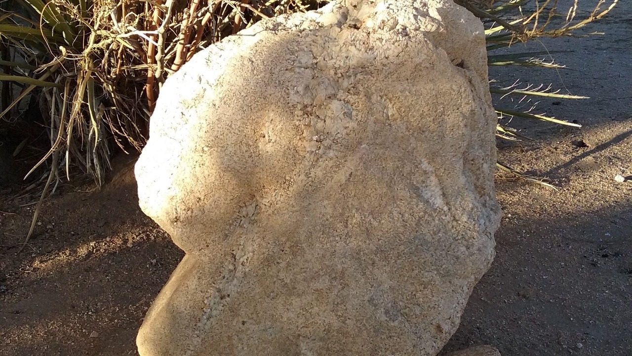Photo of Others in Julian