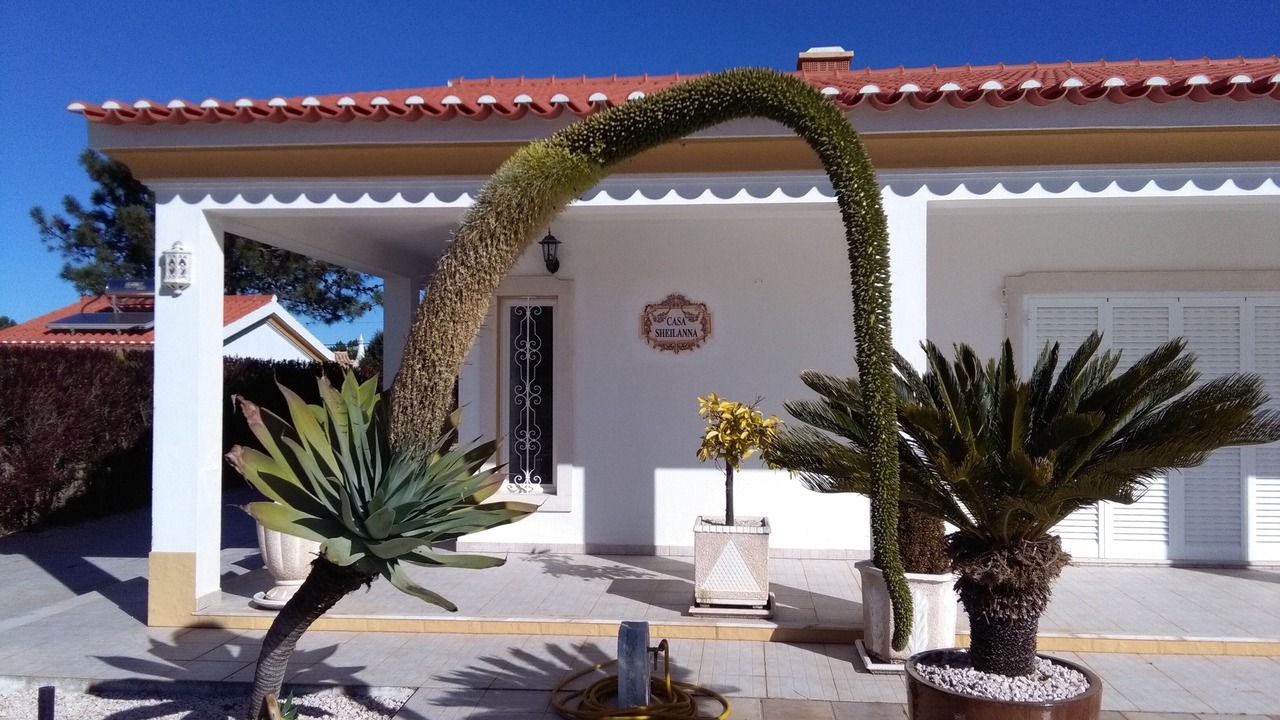 Photo of Outdoor in Aljezur