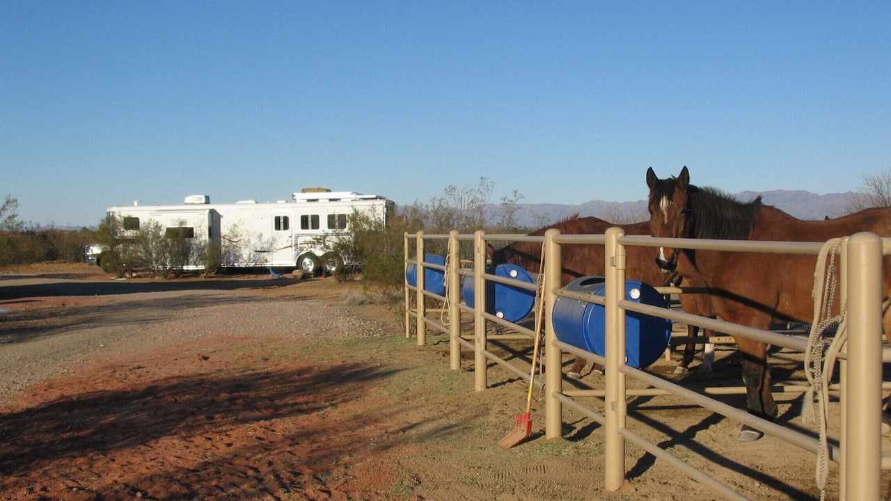 Photo of Others in Wickenburg