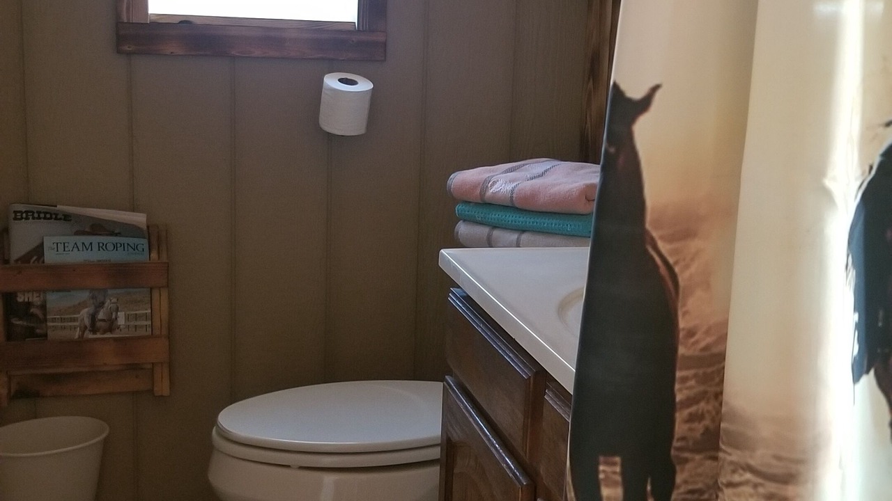 Photo of Bathroom in Wickenburg