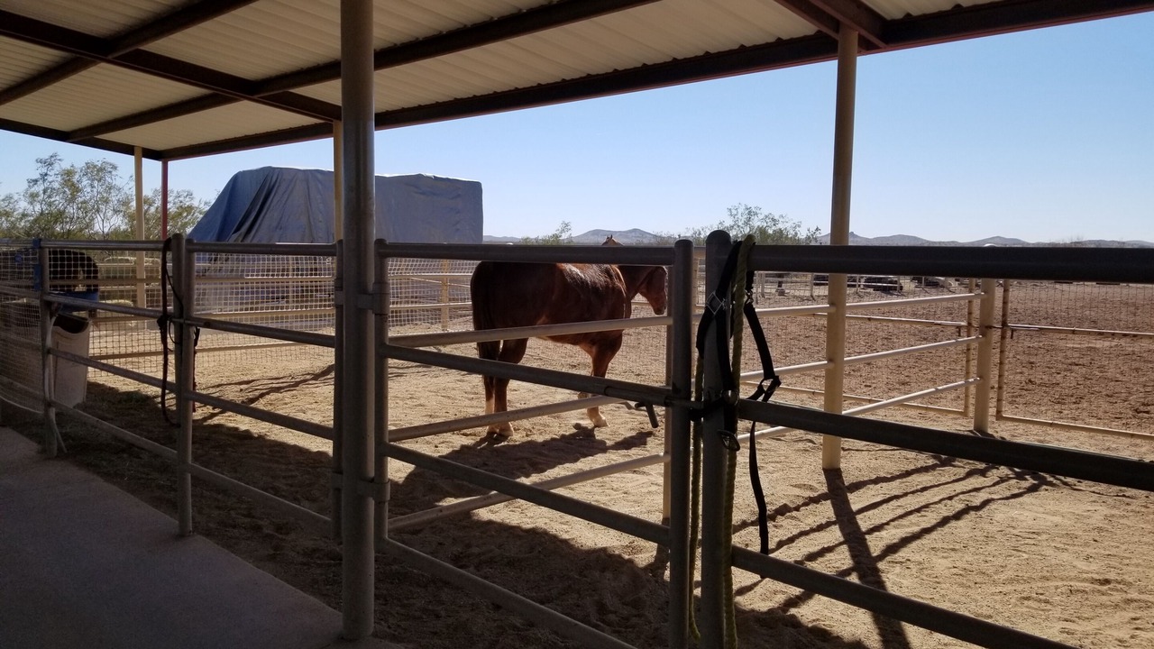 Photo of Outdoor in Wickenburg
