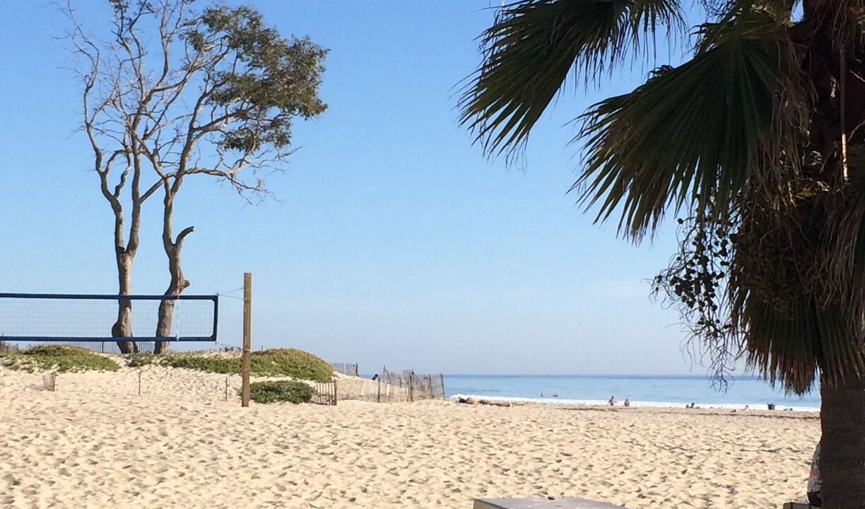 Photo of Others in Carpinteria