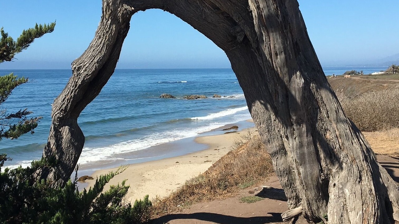 Photo of Others in Carpinteria