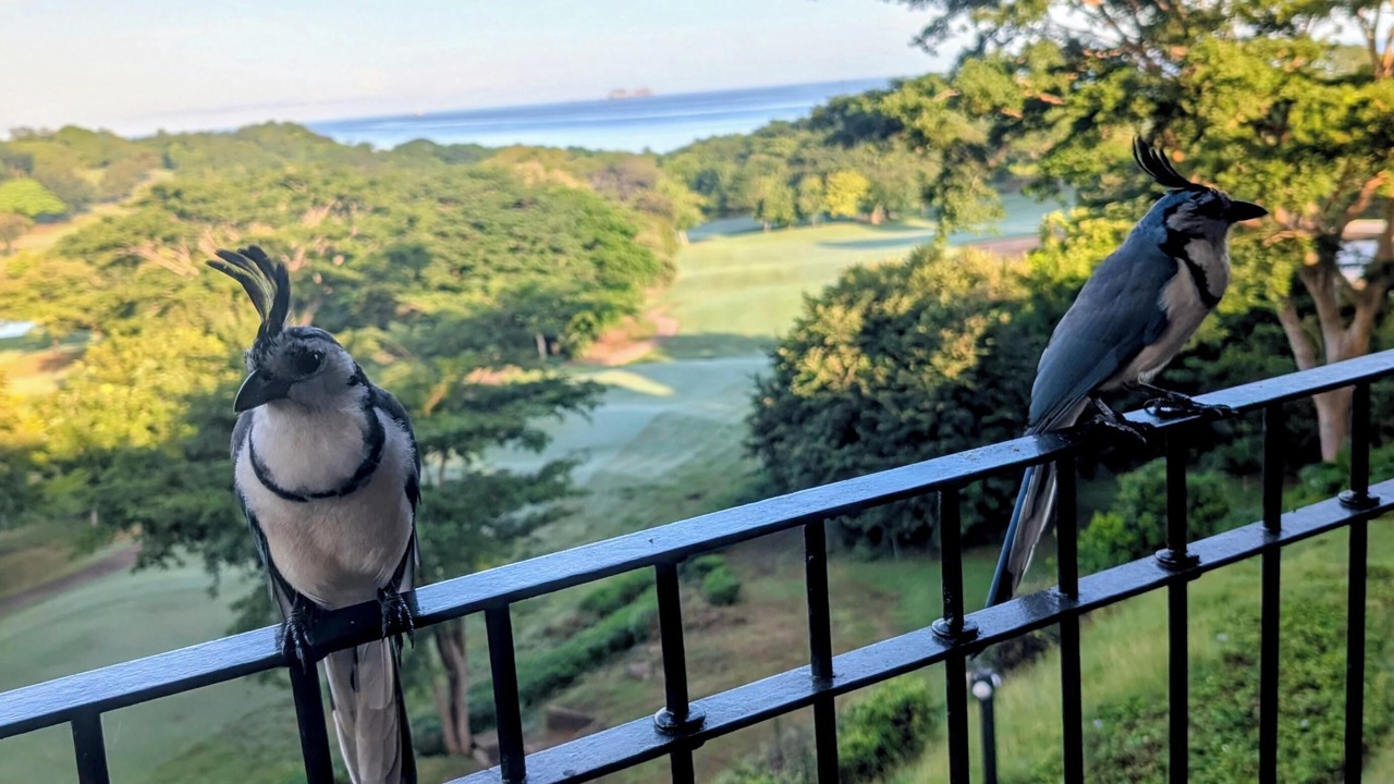 Photo of Patio Balcony in Brasilito