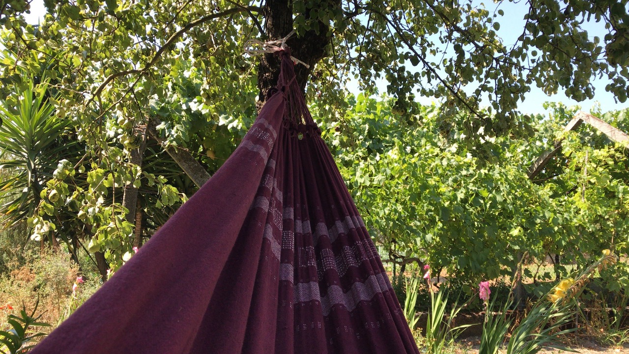 Photo of Outdoor in Fatauncos