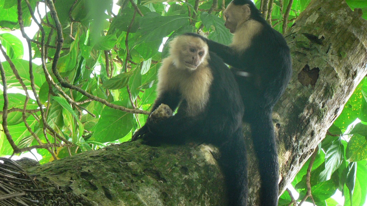 Photo of Others in Chiguata