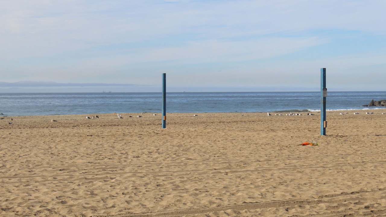 Photo of Others in West Newport