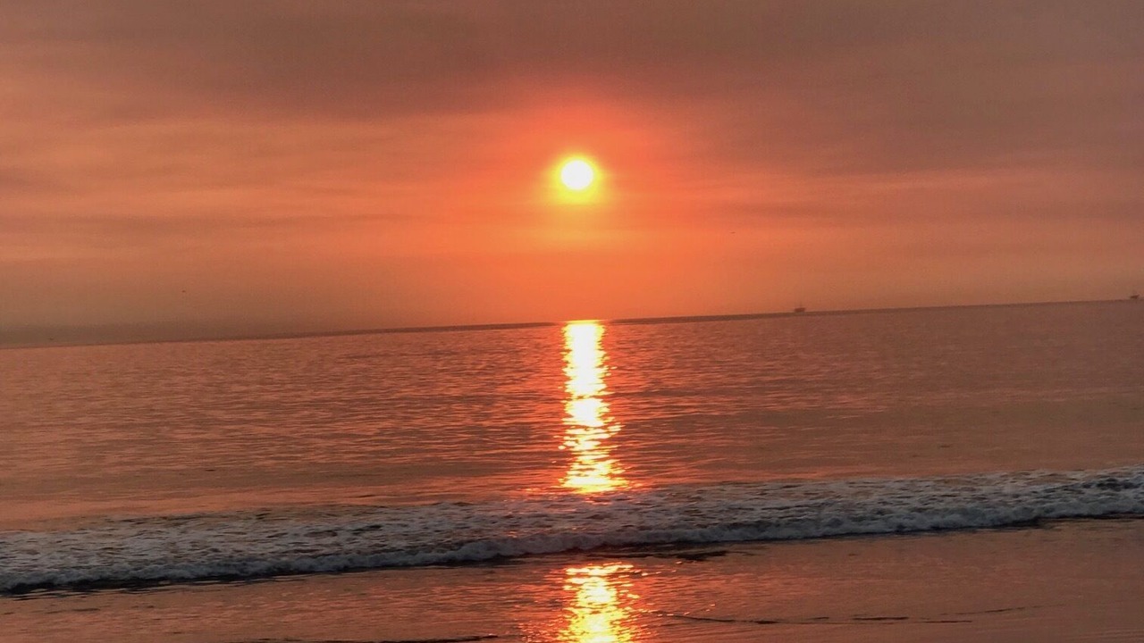 Photo of Others in West Newport